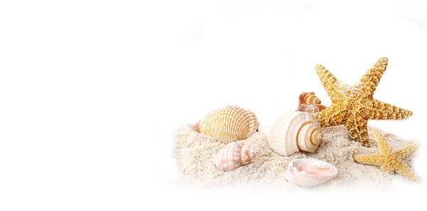 Морская тематика на белом фоне