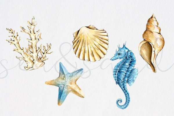 Ракушки трафарет Акварельные