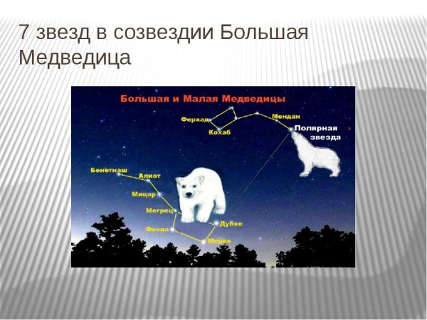 Созвездиемаоой медведицы схема