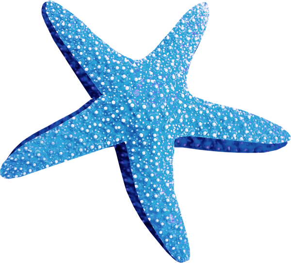 Морская звезда вектор
