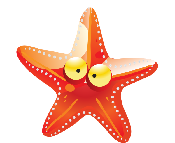Морская звезда Starfish bot
