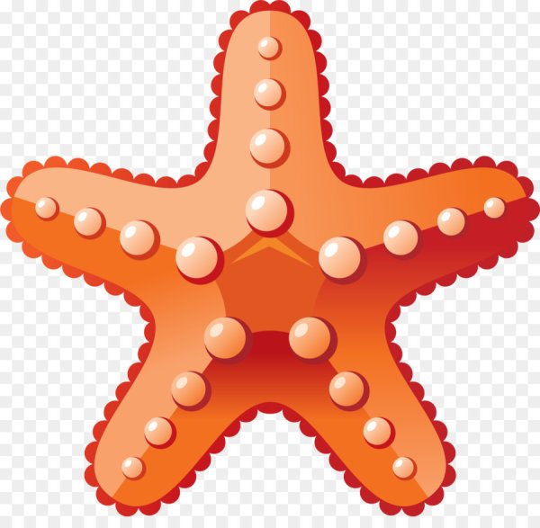 Морская звезда салатовая