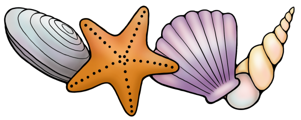 Морские звезды мультяшные