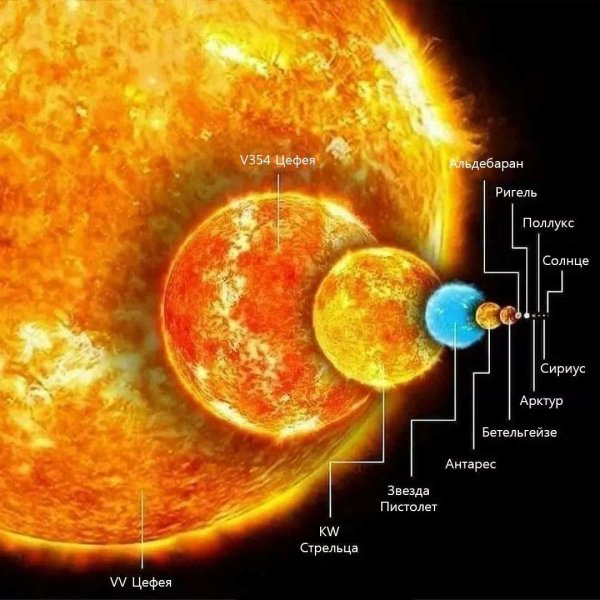 Сравнение размеров солнца и других звезд