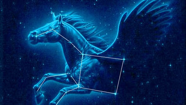 Созвездие Пегас Легенда