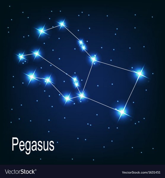 Созвездие Пегаса на небе