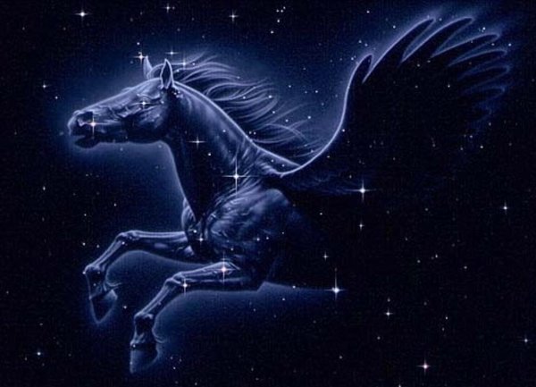 Созвездие Пегас звезды