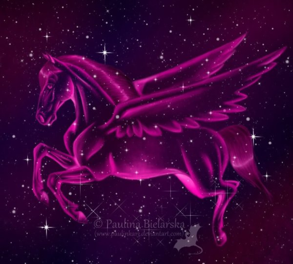 Пегасус Созвездие