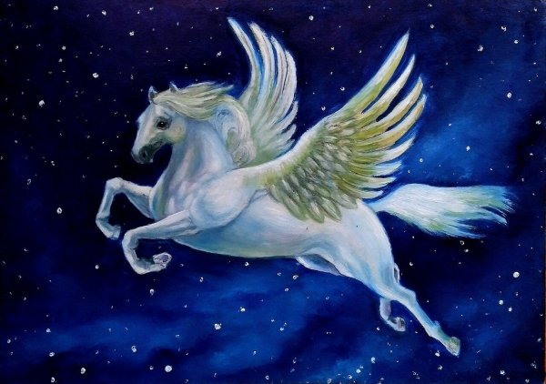 Пегас на Звездном небе