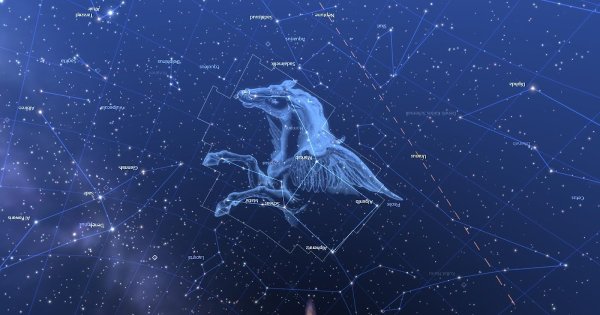 Пегас Pegasus Созвездие
