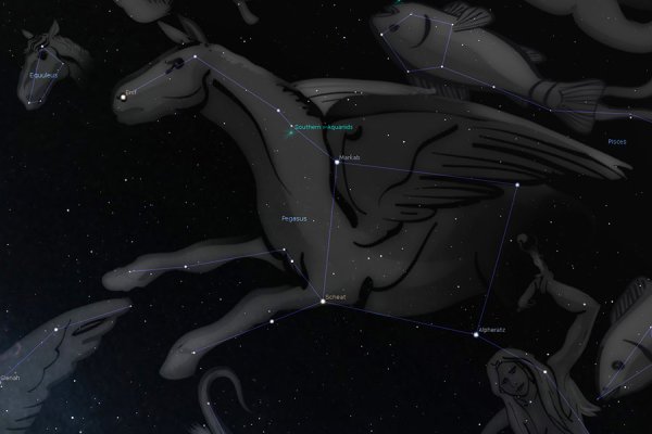 Созвездие Пегаса на небе