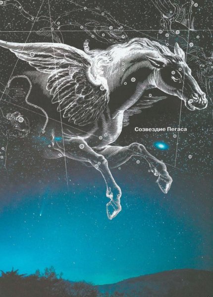 Созвездие Пегас для детей