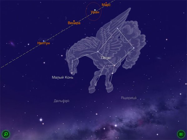 Красивые Единороги