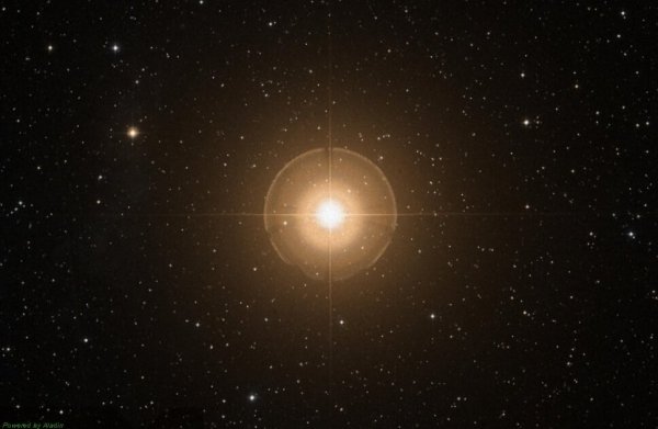 Созвездие малый конь схема