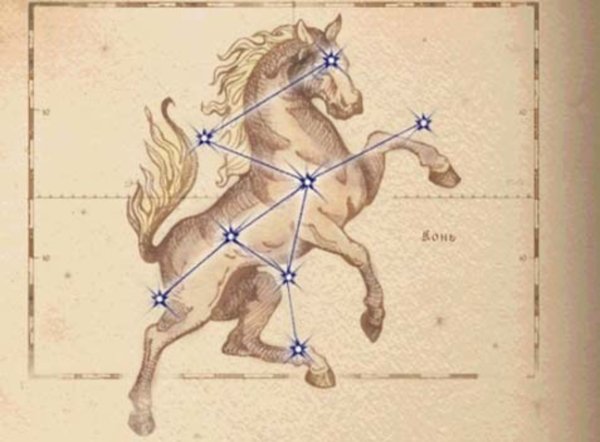 Созвездие Пегас Эниф