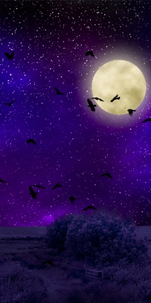 Небо с луной и звездами