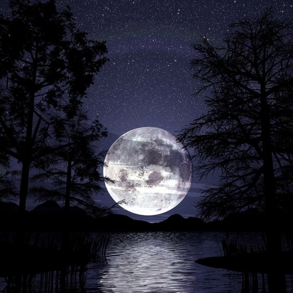 Звездное небо