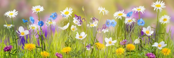 Обложка для фейсбука лето