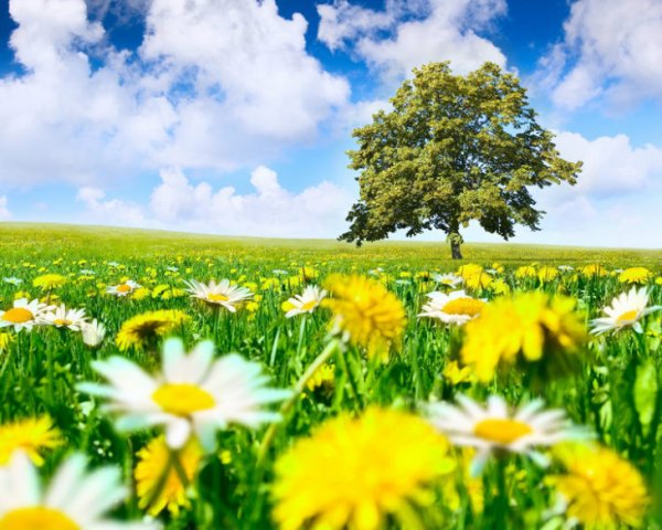 Надпись на песке