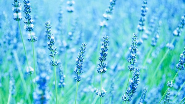 Волна на фоне неба