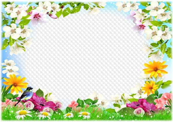 Красивая летняя рамка