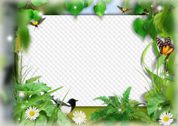 Летние рамки для фотографий