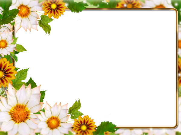 Летняя рамка