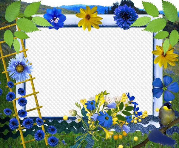 Летние рамки для фотошопа