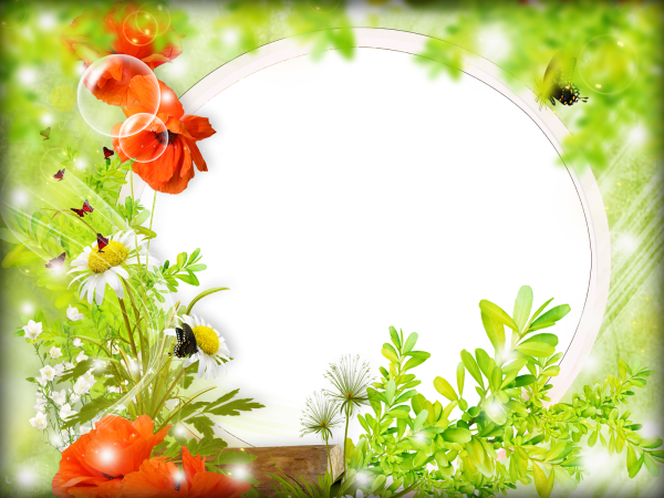 Летняя рамка