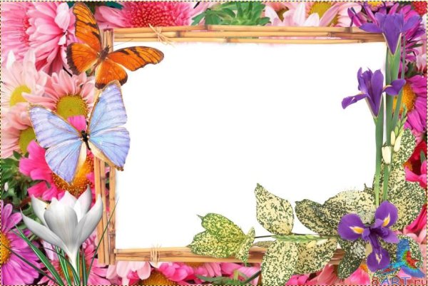 Летняя рамка