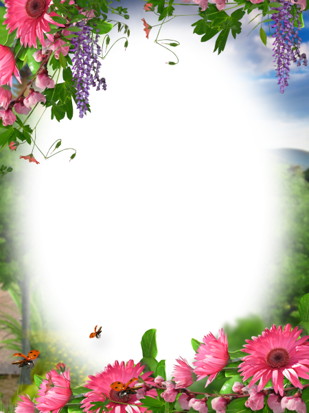 Фоторамка с ромашками