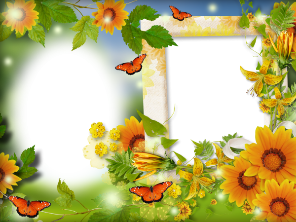 Рамки для детского сада горизонтальные