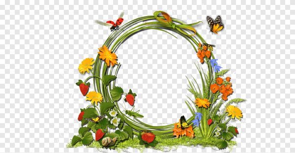 Рамка ромашки