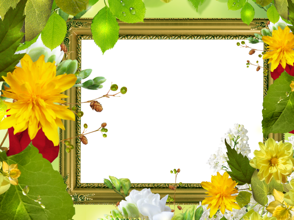 Красивая летняя рамка