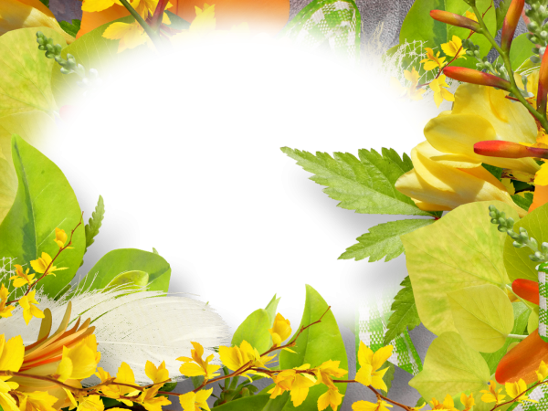 Летние рамки для фотошопа