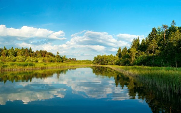 Пейзаж лето