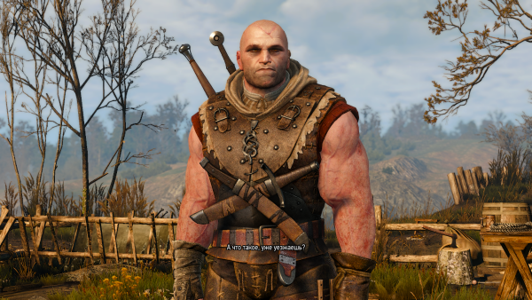 Лето из Гулеты Ведьмак