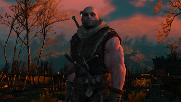 Лето Ведьмак 3