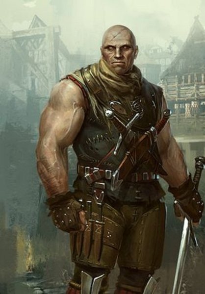 Лето из Гулеты Ведьмак