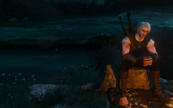 Ведьмак 3 Дикая охота Геральт медитирует у костра