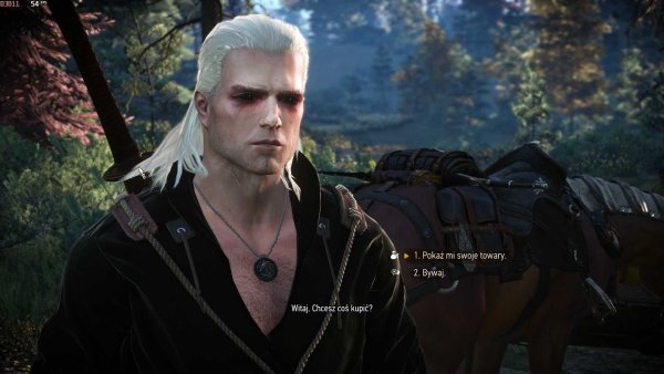 Ведьмак 3 Дикая охота Геральд