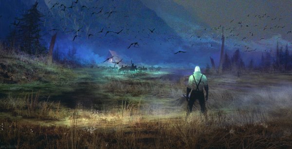 The Witcher 1 арт