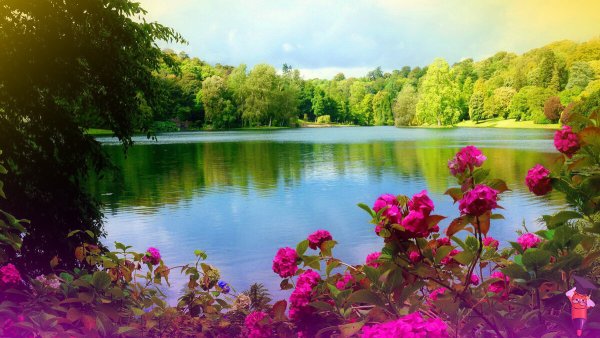 Летняя природа