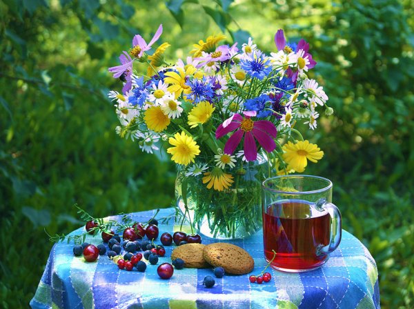 Доброе утро луговые цветы