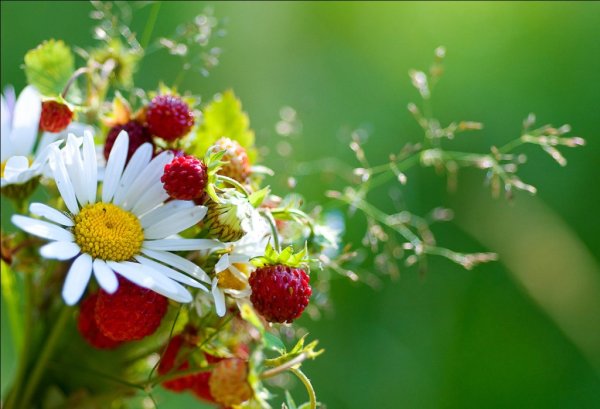 Чудесного утра