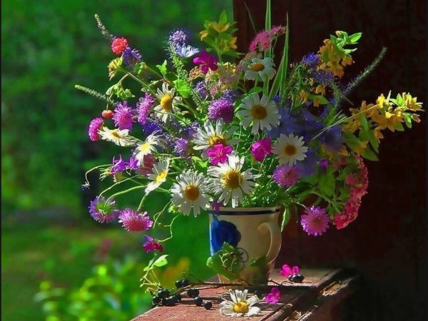 Доброе летнее утро