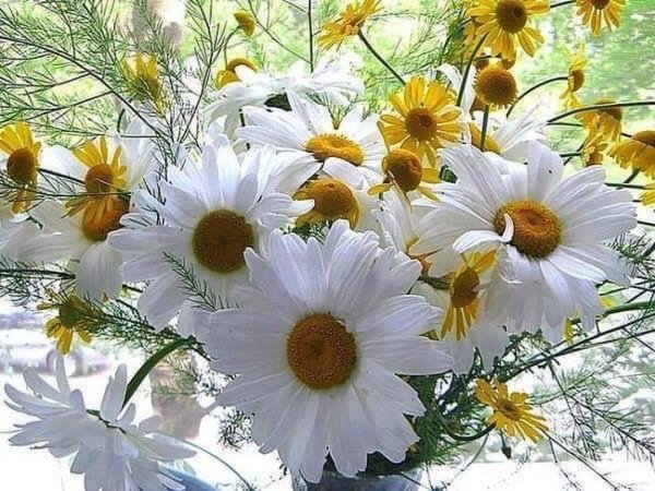 Радость жизни цитаты