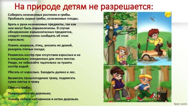 Правила поведения на улице для детей