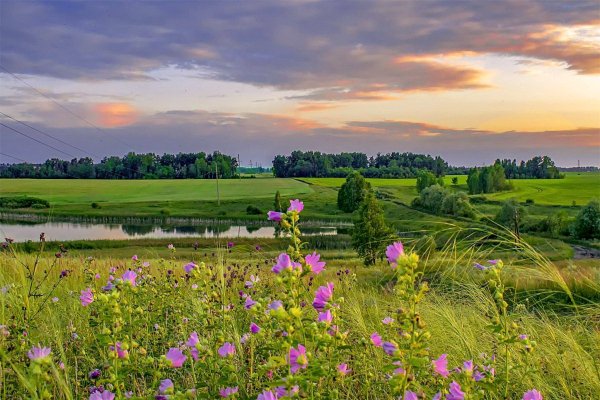 Луга Кировской области