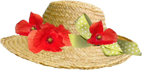 Летние женские шляпки на прозрачном фоне